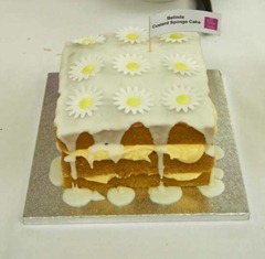 Cake_Ladies_East_meets_West_040