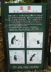 Beware of the Deer!!