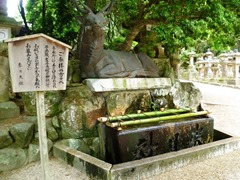 Purification Fountain