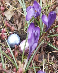 More Hidden Eggs More Hidden Eggs