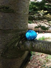 Hidden Eggs Hidden Eggs