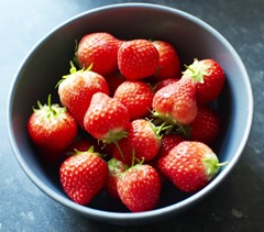 Adele Blog Photos_0108