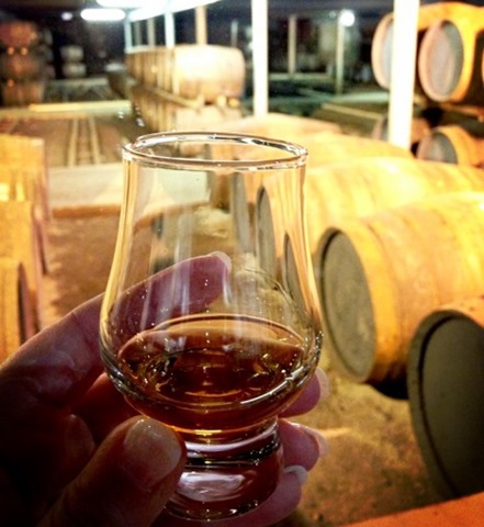 A wee dram at Glen Ord Distillery