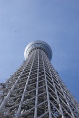 Tokyo Sky Tree