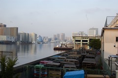 Dawn breaking over the river