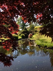 Kyoto Friendship Garden
