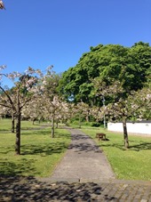 Kyoto Friendship Garden