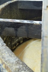 Grist and Yeast Bubbling away in the Mash Tun