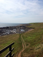 Coastal Path Coastal Path