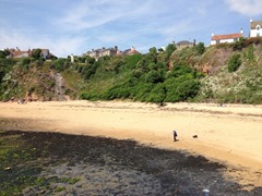 Crail Beach Crail Beach