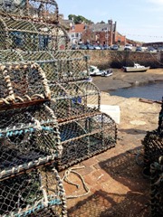 Lobster Nets Lobster Nets
