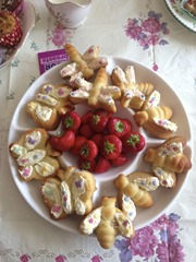 Sponge Butterflies & Dragonflies