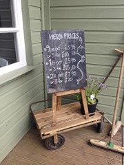 The Secret Herb Garden