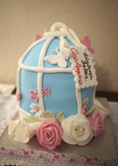 Birdcage Cake Birdcage Cake