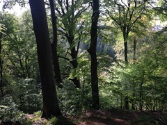 Steep path down to the Clyde