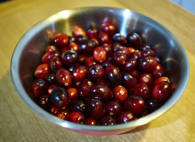Fresh Juicy Cranberries for Cranberry Sauce
