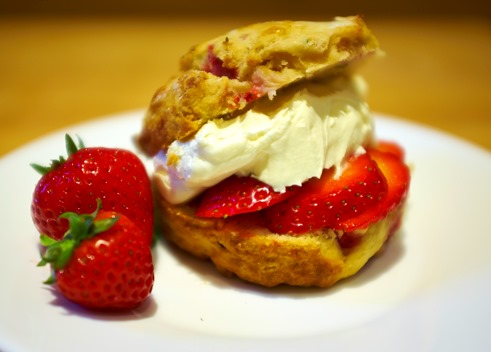 Adeles Blog Photos 2015-0819